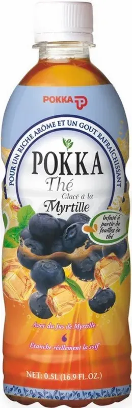 thé glacé 50cL (1)