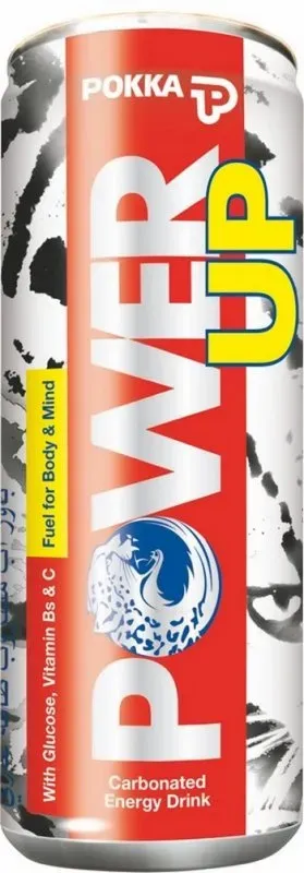 Boisson énergisante 325mL